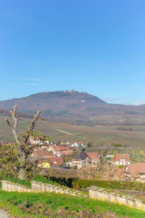 Gite La Rodernelle - Sauna Privatif - Climatisation - Vue Sur Le Chateau Du Haut Koenigsbourg Exterior foto