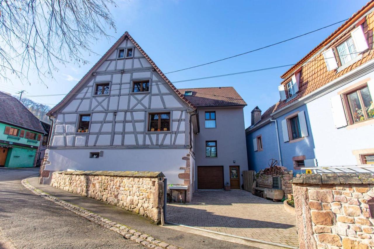 Gite La Rodernelle - Sauna Privatif - Climatisation - Vue Sur Le Chateau Du Haut Koenigsbourg Exterior foto